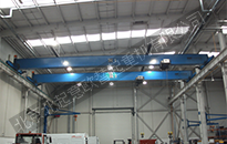 Configuration SWF wire rope hoist-LDA electric single girder crane